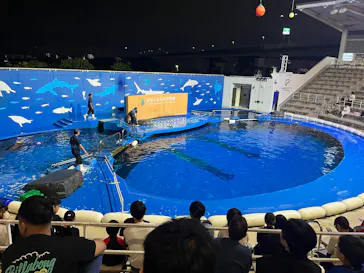 仙台うみの杜水族館に投稿された画像（2026/9/23）