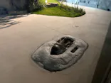 天王寺動物園に投稿された画像（2026/9/23）