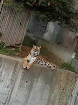 天王寺動物園に投稿された画像（2026/9/23）