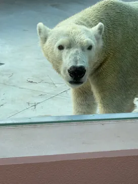 天王寺動物園に投稿された画像（2026/9/23）