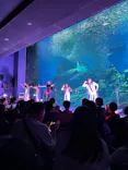 仙台うみの杜水族館に投稿された画像（2026/9/24）