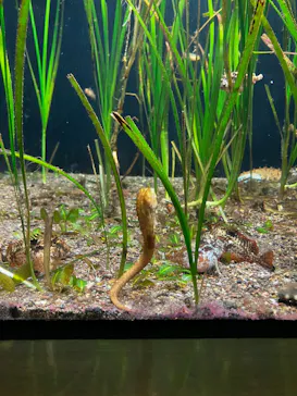 大分マリーンパレス水族館 「うみたまご」に投稿された画像（2026/9/23）