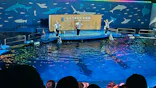 仙台うみの杜水族館に投稿された画像（2026/9/24）