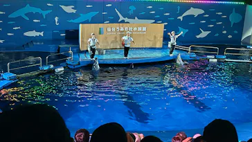 仙台うみの杜水族館に投稿された画像（2026/9/23）