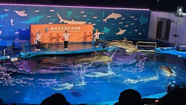 仙台うみの杜水族館に投稿された画像（2026/9/23）