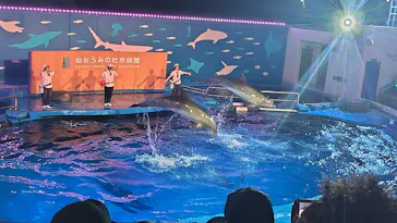 仙台うみの杜水族館に投稿された画像（2026/9/23）