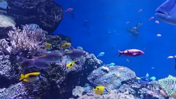 仙台うみの杜水族館に投稿された画像（2026/9/23）