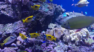 仙台うみの杜水族館に投稿された画像（2026/9/23）