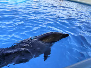 マリンワールド海の中道に投稿された画像（2026/9/23）