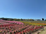 牧歌の里に投稿された画像（2026/9/24）