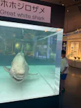 沖縄美ら海水族館に投稿された画像（2026/9/24）