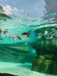 天王寺動物園に投稿された画像（2026/9/24）