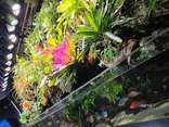 AQUARIUM × ART　atoaに投稿された画像（2026/9/24）