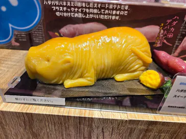 AQUARIUM × ART　atoaに投稿された画像（2026/9/23）