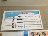 島根県立 しまね海洋館に投稿された画像（2026/9/24）