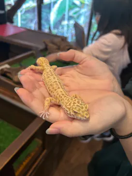 体感型動物園iZooに投稿された画像（2026/9/23）