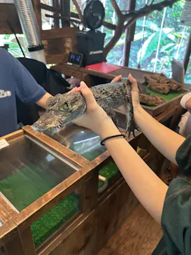 体感型動物園iZooに投稿された画像（2026/9/23）