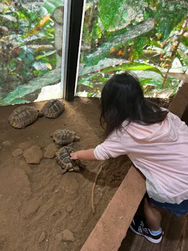 体感型動物園iZooに投稿された画像（2026/9/23）