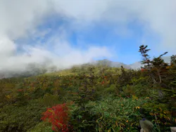 つがいけマウンテンリゾートに投稿された画像（2026/9/23）