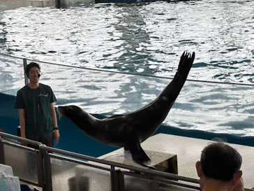 アクアワールド茨城県大洗水族館に投稿された画像（2026/9/24）