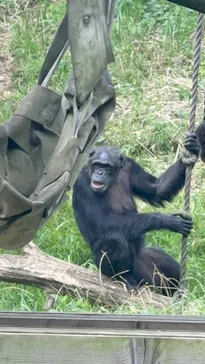 多摩動物公園に投稿された画像（2026/7/19）