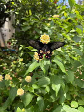 多摩動物公園に投稿された画像（2026/7/19）