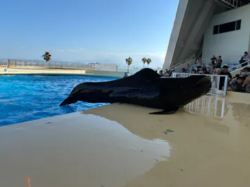マリンワールド海の中道に投稿された画像（2026/9/22）