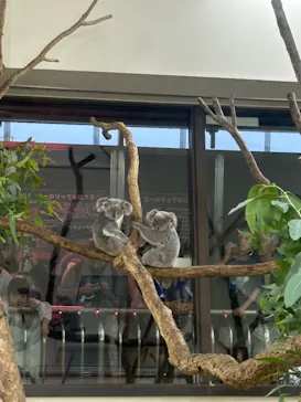 こども動物自然公園（埼玉県公園緑地協会）に投稿された画像（2026/9/24）
