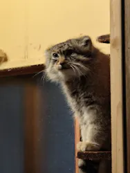 こども動物自然公園（埼玉県公園緑地協会）に投稿された画像（2026/9/24）