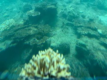 串本海中公園水族館に投稿された画像（2026/9/24）