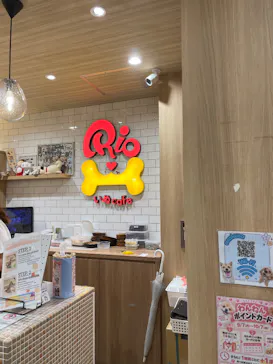 いぬカフェRio 浅草店に投稿された画像（2026/9/24）