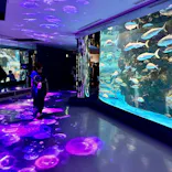 のとじま水族館に投稿された画像（2026/9/24）