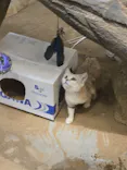 こども動物自然公園（埼玉県公園緑地協会）に投稿された画像（2026/9/24）