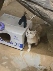 こども動物自然公園（埼玉県公園緑地協会）に投稿された画像（2026/9/24）