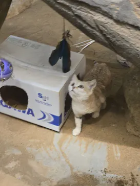 こども動物自然公園（埼玉県公園緑地協会）に投稿された画像（2026/9/24）