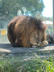 東武動物公園に投稿された画像（2026/9/24）