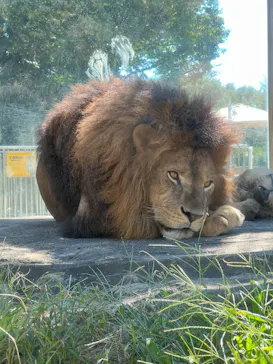 東武動物公園に投稿された画像（2026/9/24）
