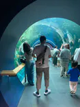 滋賀県立琵琶湖博物館に投稿された画像（2026/9/24）