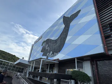 太地町立くじらの博物館に投稿された画像（2026/9/24）