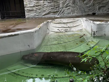 恩賜上野動物園に投稿された画像（2026/9/24）