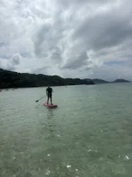 石垣島　ウミガメシュノーケル　マリンショップHAPPYに投稿された画像（2026/9/24）