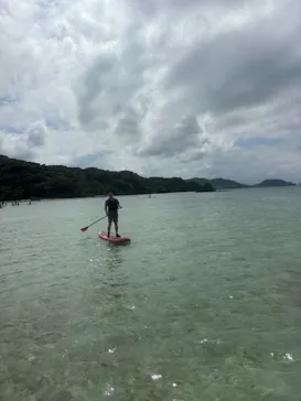 石垣島　ウミガメシュノーケル　マリンショップHAPPYに投稿された画像（2026/9/24）