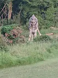天王寺動物園に投稿された画像（2026/9/24）