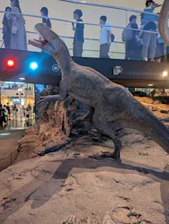 福井県立恐竜博物館に投稿された画像（2026/9/24）