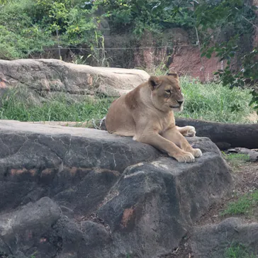 天王寺動物園に投稿された画像（2026/9/24）