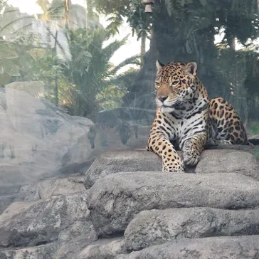 天王寺動物園に投稿された画像（2026/9/24）