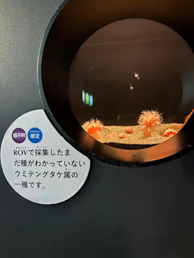 環境水族館アクアマリンふくしまに投稿された画像（2026/9/24）