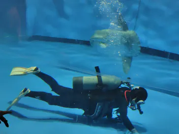 アクアワールド茨城県大洗水族館に投稿された画像（2026/9/24）