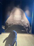 滋賀県立琵琶湖博物館に投稿された画像（2026/9/24）