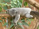 こども動物自然公園（埼玉県公園緑地協会）に投稿された画像（2026/9/24）